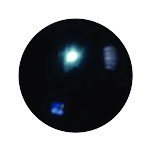 Slide 8