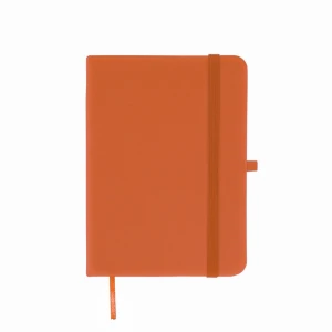 Slide 8