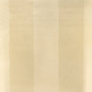 Slide 17